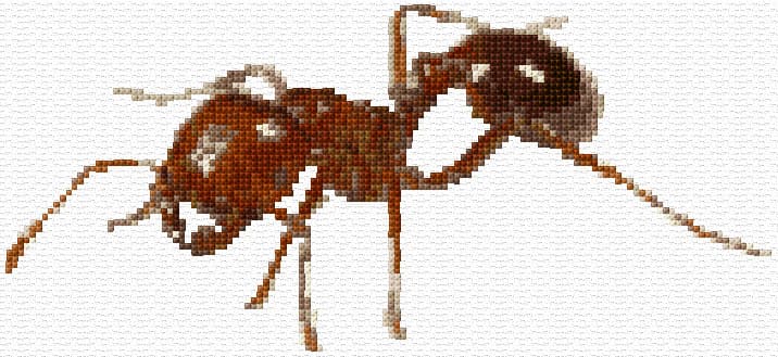 Ant free cross-stitch pattern