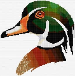 Wood Duck