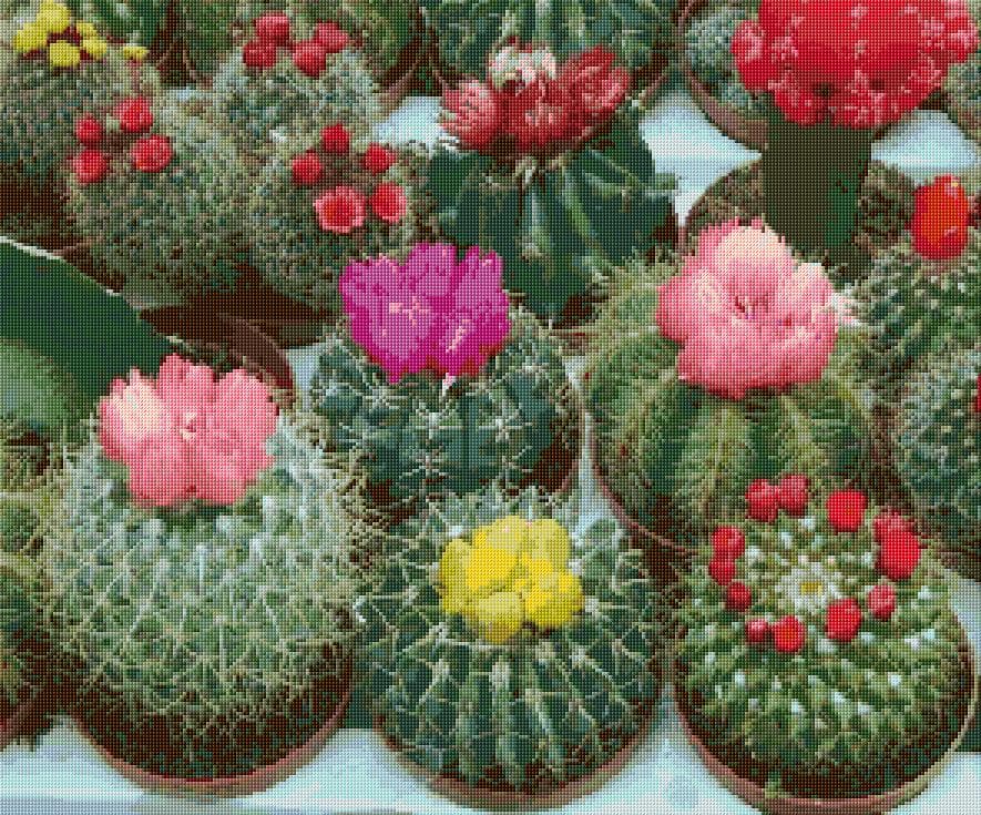 Cactuses free cross-stitch pattern