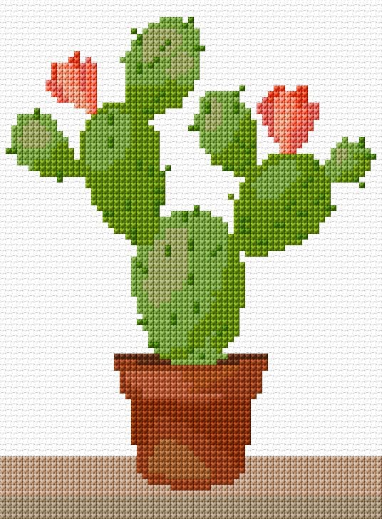 Blooming Cactus free cross-stitch pattern